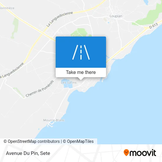 Avenue Du Pin map