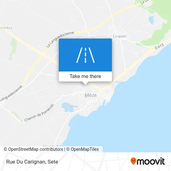 Mapa Rue Du Carignan