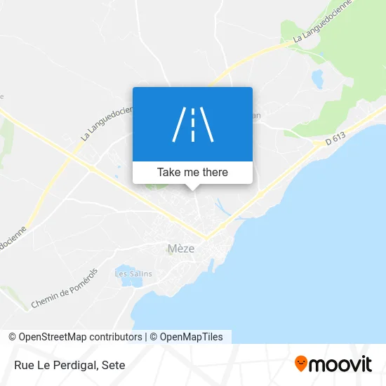 Mapa Rue Le Perdigal