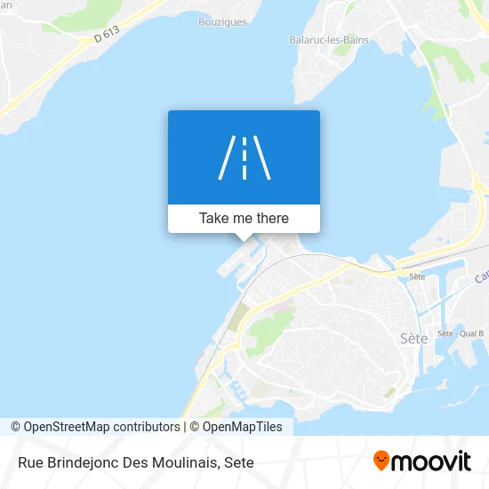 Rue Brindejonc Des Moulinais map