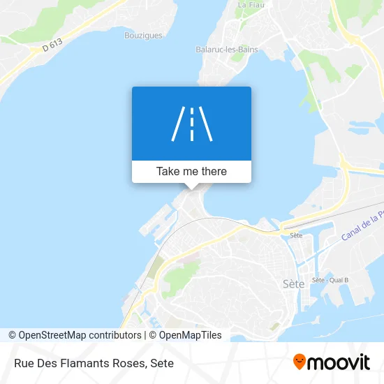 Rue Des Flamants Roses map