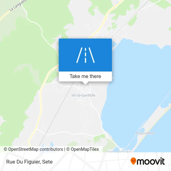Mapa Rue Du Figuier