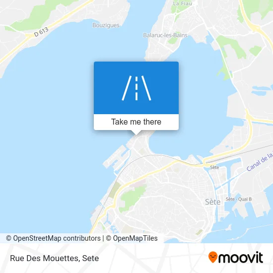 Rue Des Mouettes map