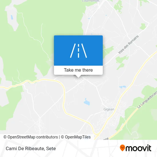 Cami De Ribeaute map