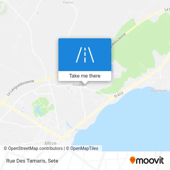 Mapa Rue Des Tamaris