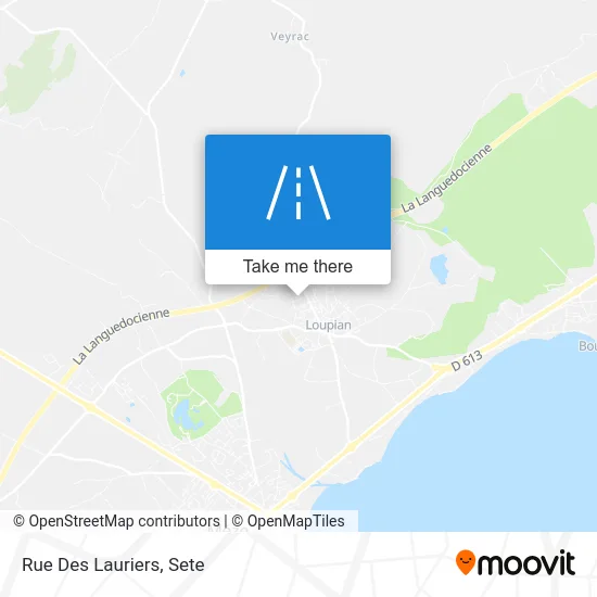 Mapa Rue Des Lauriers