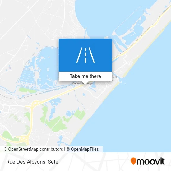 Mapa Rue Des Alcyons