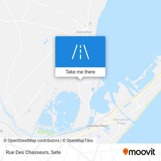 Mapa Rue Des Chasseurs