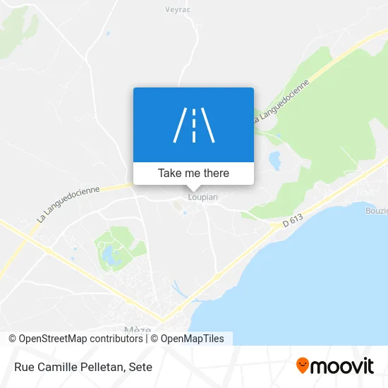 Rue Camille Pelletan map