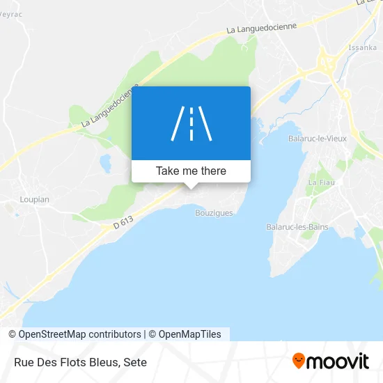 Rue Des Flots Bleus map