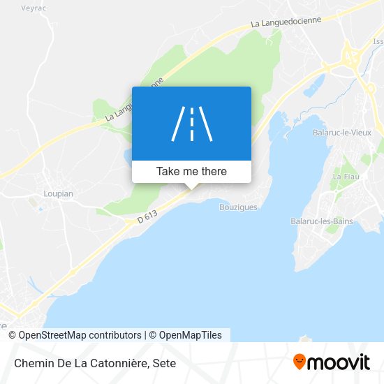 Chemin De La Catonnière map