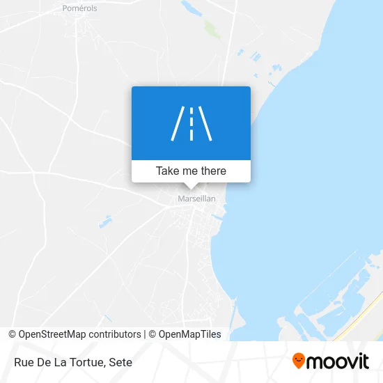 Rue De La Tortue map