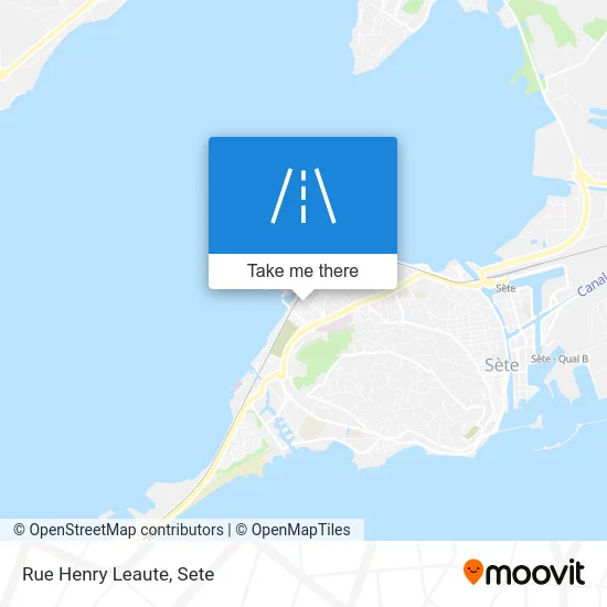 Rue Henry Leaute map