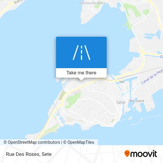 Rue Des Roses map