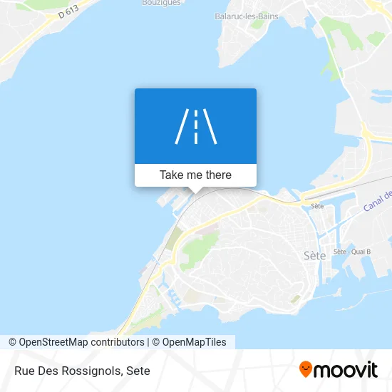 Rue Des Rossignols map