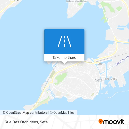 Rue Des Orchidées map