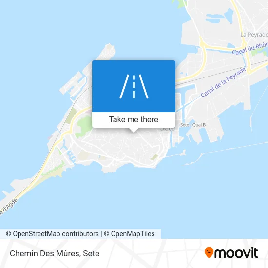 Chemin Des Mûres map