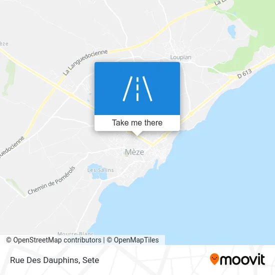 Rue Des Dauphins map