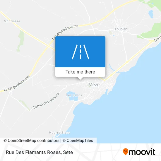 Rue Des Flamants Roses map