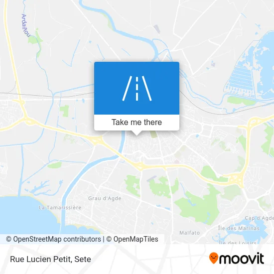 Rue Lucien Petit map
