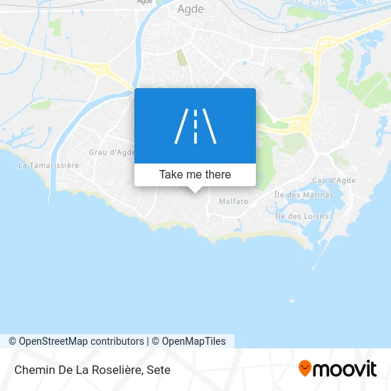 Chemin De La Roselière map