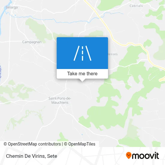 Chemin De Virins map