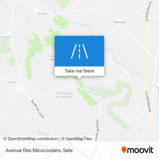 Avenue Des Micocouliers map