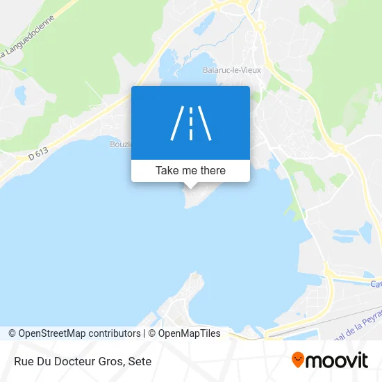 Mapa Rue Du Docteur Gros