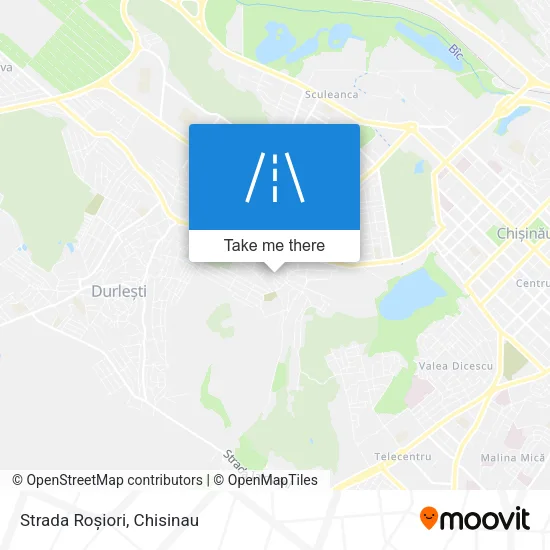 Strada Roșiori map