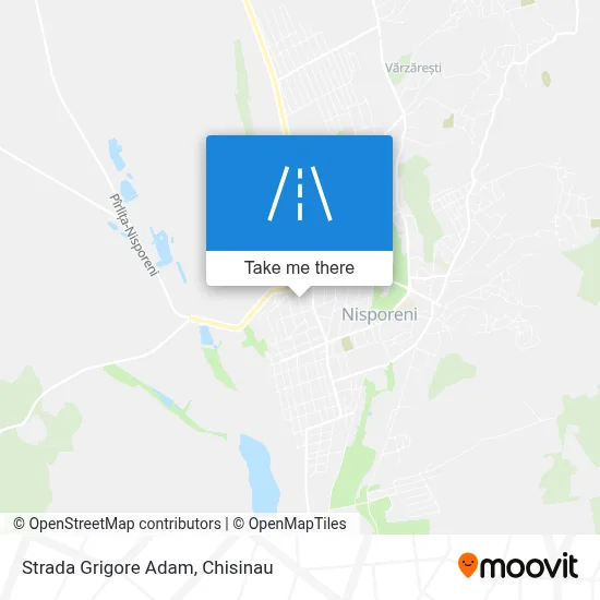 Strada Grigore Adam map