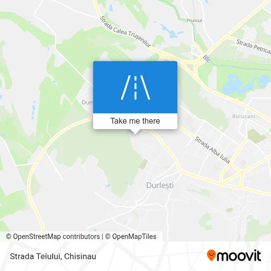 Strada Teiului map