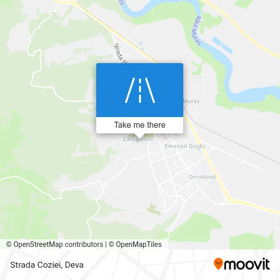 Strada Coziei map