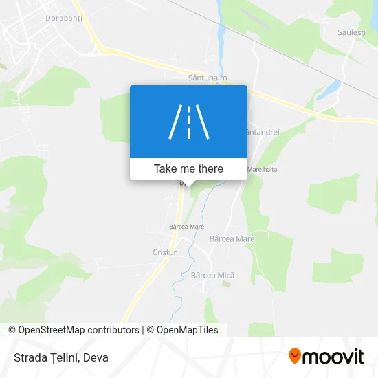 Strada Țelini map