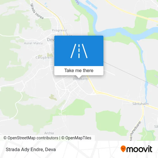 Strada Ady Endre map