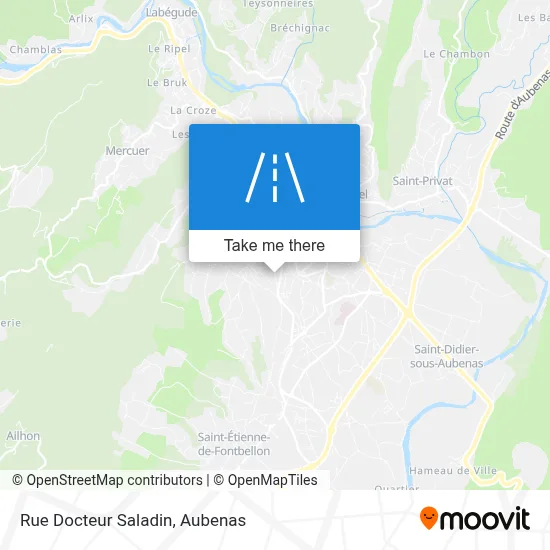 Rue Docteur Saladin map