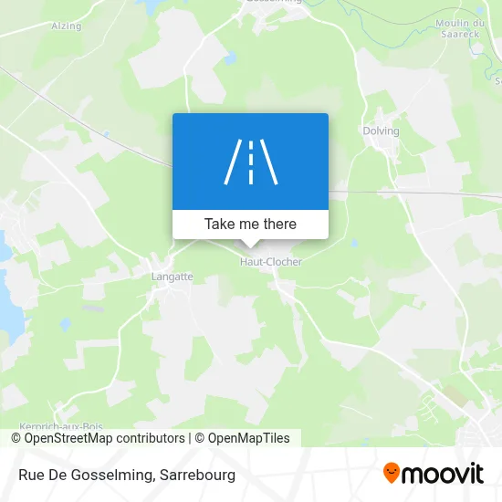 Rue De Gosselming map