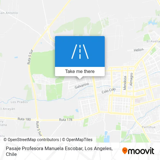 Pasaje Profesora Manuela Escobar map