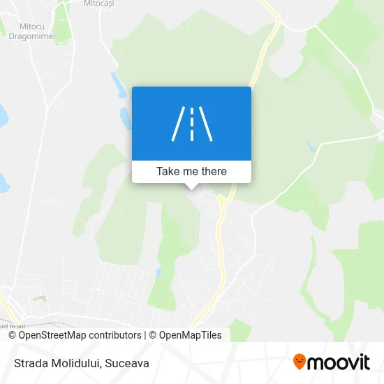 Strada Molidului map