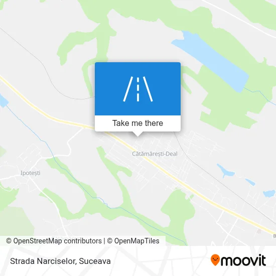 Strada Narciselor map