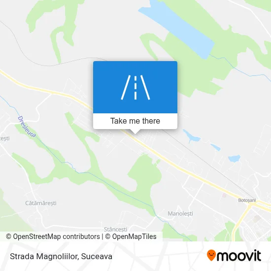 Strada Magnoliilor map