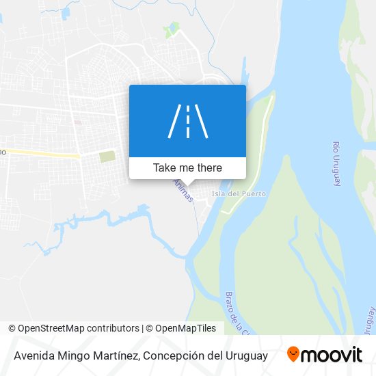 Mapa de Avenida Mingo Martínez