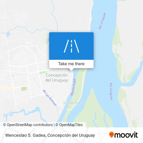Mapa de Wenceslao S. Gadea