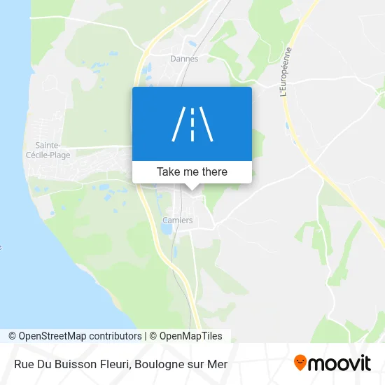 Rue Du Buisson Fleuri map