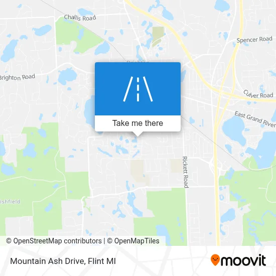 Mountain Ash Drive map