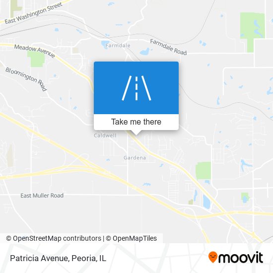 Patricia Avenue map