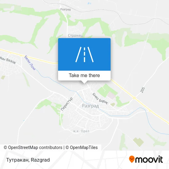 Тутракан map