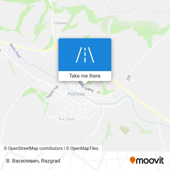 Карта В. Василевич