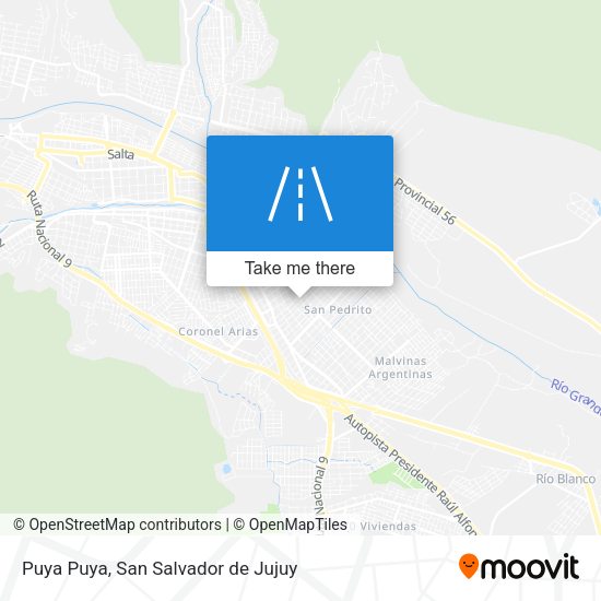 Mapa de Puya Puya