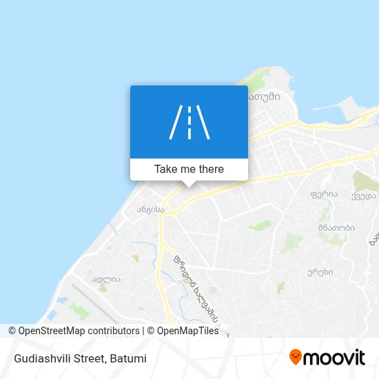 გუდიაშვილის ქუჩა map