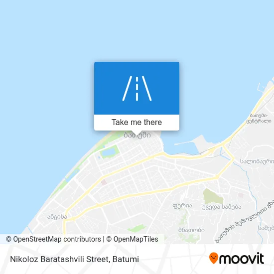 ნიკოლოზ ბარათაშვილის ქუჩის map